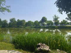 -玄武湖景区-情侣园游乐场