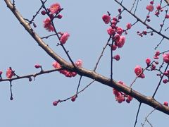 -老房子金沙元年川菜食府·花园餐厅(金沙店)