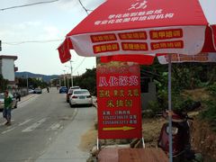 -从化深英荔枝黄皮龙眼采摘园