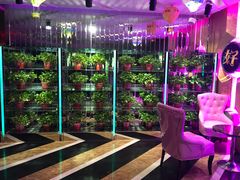 -乐道好声音量贩式KTV(北行店)