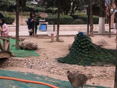 景点-陕西自然博物馆