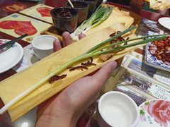-赵记煎饼卷大葱(泰山大街店)