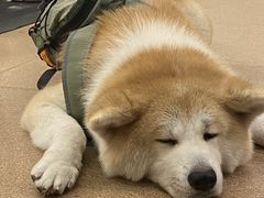 -YCHL Studios健身工作室(市二宫店)