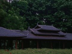 -南宁南湖公园