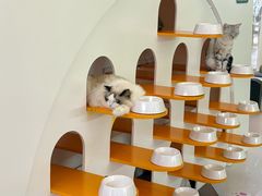 -天河领展广场