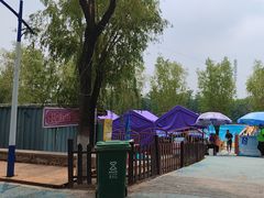 -青龙湖公园