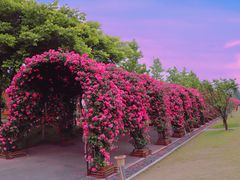 -广富林郊野公园