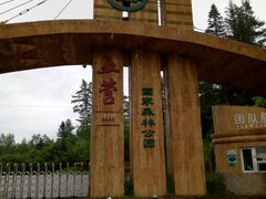 -五营红松林海景区