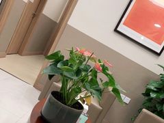 -百汇医疗健康管理与出国体检中心