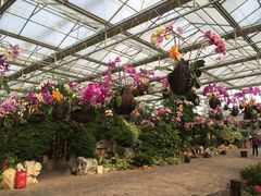 -南通洲际绿博园