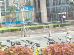 -渣打银行(上海分行)