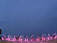 -深圳湾万象城(南山店)