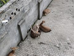 -台州府城(江南长城)