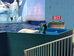 -福州罗源湾海洋世界旅游区