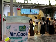 -圣淘沙天际线斜坡滑车