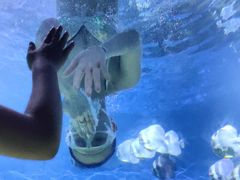 -海合安武汉极地海洋公园