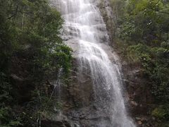 -九龙江国家森林公园