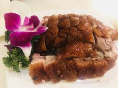 烧鹅烧肉双拼-香港新发烧腊茶餐厅(万象店)