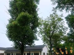 -呼吸森林·生态农庄农家乐私房菜