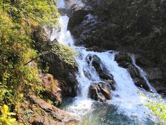 -九龙江国家森林公园