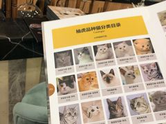 -袖虎·猫馆(体育西路店)