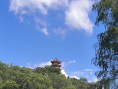 -深圳仙湖植物园