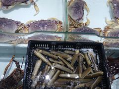 -万龙洲海鲜(大兴绿地缤纷城店)