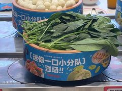 -龍歌自助小火锅(李沧丽达店)