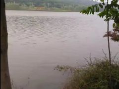 -羊山湖公园