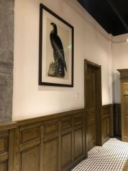 -TWOFACE 双面理发馆