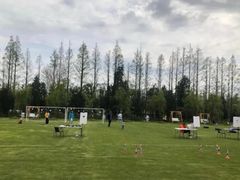 -前小桔亲子创意农场·草莓采摘·露营烧烤