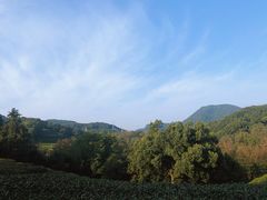-西湖风景区十里琅珰-五云山