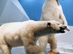 -青岛海底世界-水族馆
