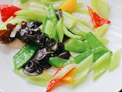 -高第街56号港式餐厅(山大路店)