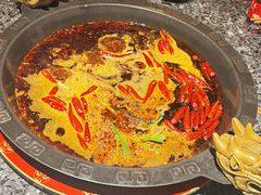 -成渝龙火锅(都江堰店)