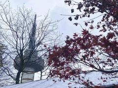 -岳麓山风景名胜区