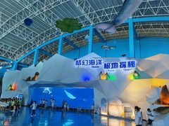 -泉城欧乐堡海洋极地世界