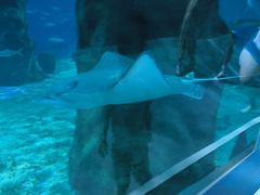 -北戴河圣蓝海洋公园