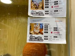 -屋虎猫馆(宝安大仟里店)