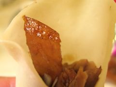 -九花山烤鸭店