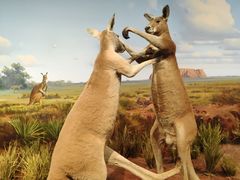 -陕西自然博物馆