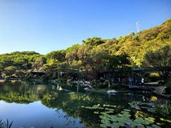 -云溪植物园