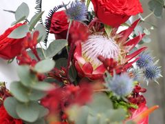 -花到家(富贵鸟花艺行)