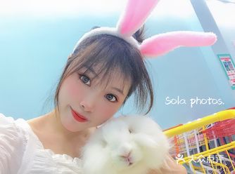 佛山探店 | 佛山首家安哥拉巨兔体验馆！！