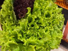 -炭之家·齐齐哈尔非遗烤肉·鲜切直供(中央大街店)