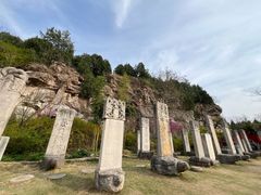 -徐州龟山景区