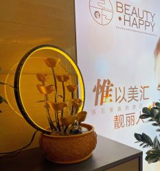 点击看大图 -惟美汇皮肤管理