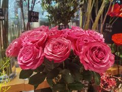 -FEI FEI FLOWER鲜花店·气球派对·宝宝宴布置(虹口德必运动Loft店)
