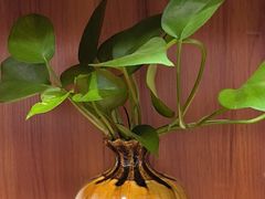 -香山湖渔家大院