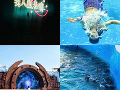 -秦皇岛乐岛海洋王国